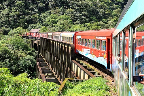 Passeio de Trem Morretes a Curitiba (Ticket)