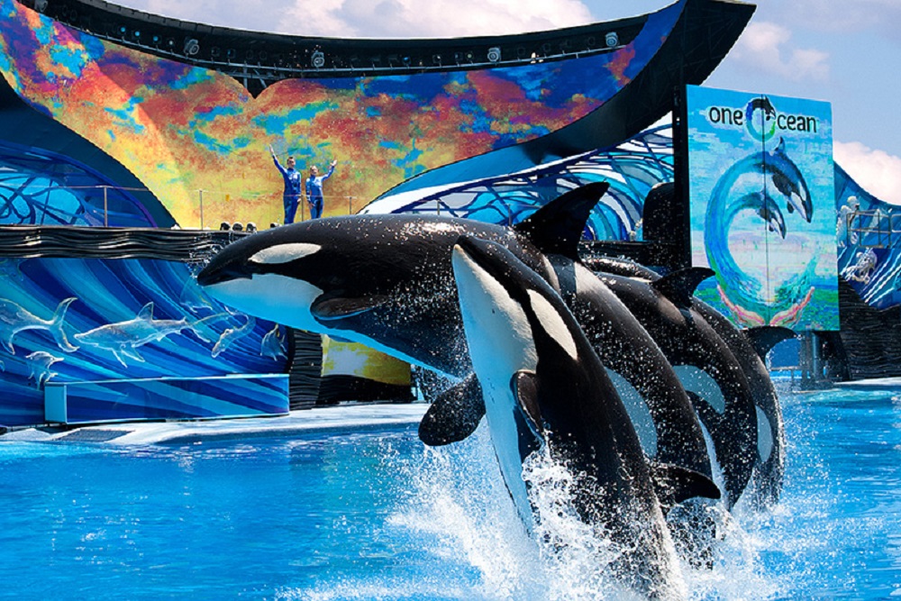 SeaWorld, Aquatica ou Busch Gardens Ingresso para 02 Parques