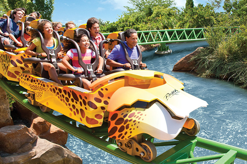Busch Gardens Tampa Bay Ingresso de 01 Dia